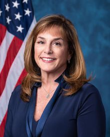 Official portrait of Rep. Lisa McClain